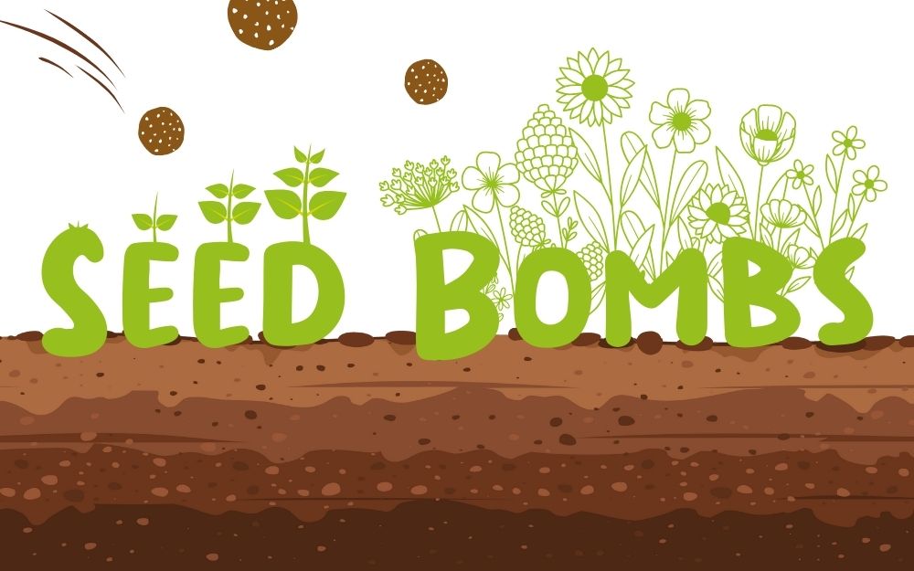 illustration of seeds growing out of the words "seed bombs"
