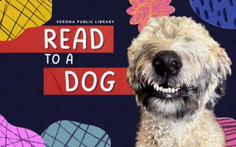 A poodle dog smiling with colorful shapes and text "Read to a dog"