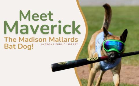 Maverick holding a bat wearing cool dog sunglasses