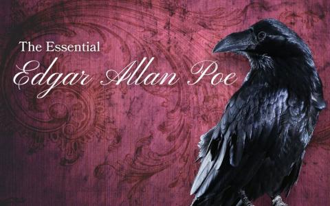 a raven against an ornate Victorian background