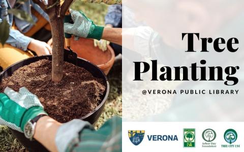 three people planting a tree