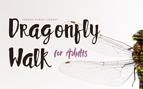 a close-up photo of a green and brown dragonfly