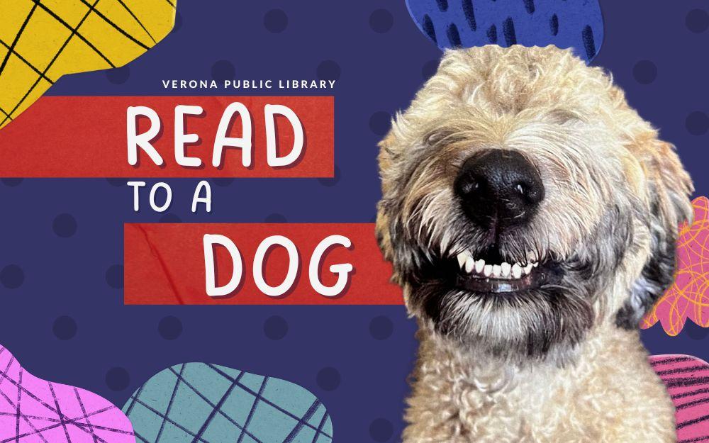 A poodle dog smiling with colorful shapes and text "Read to a dog"