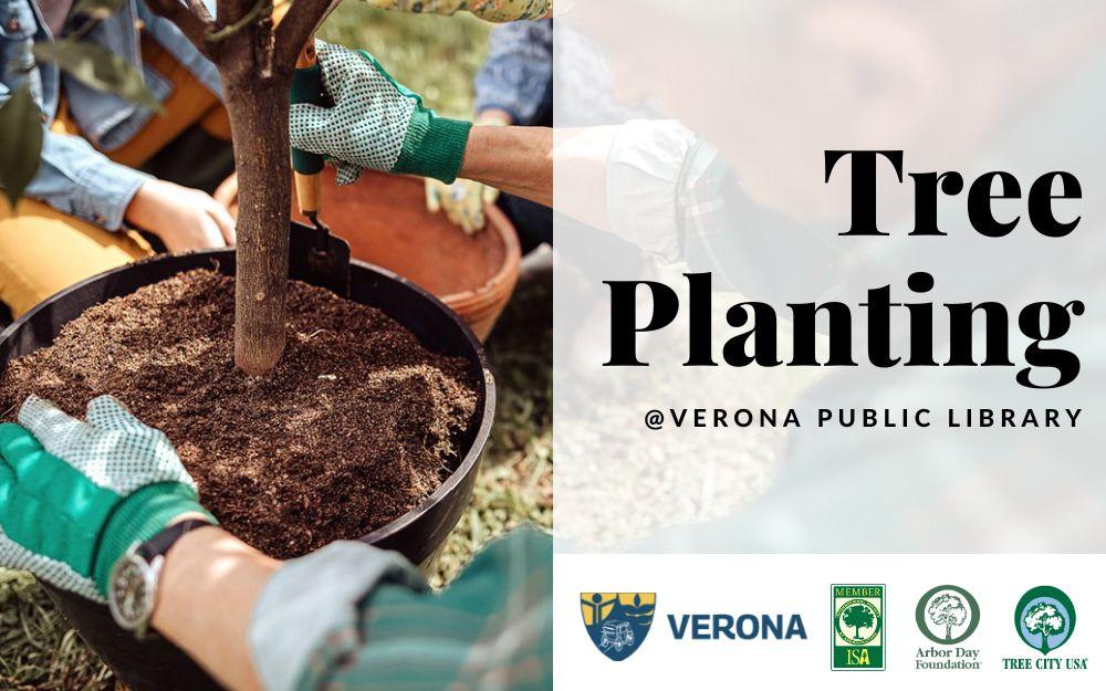 three people planting a tree