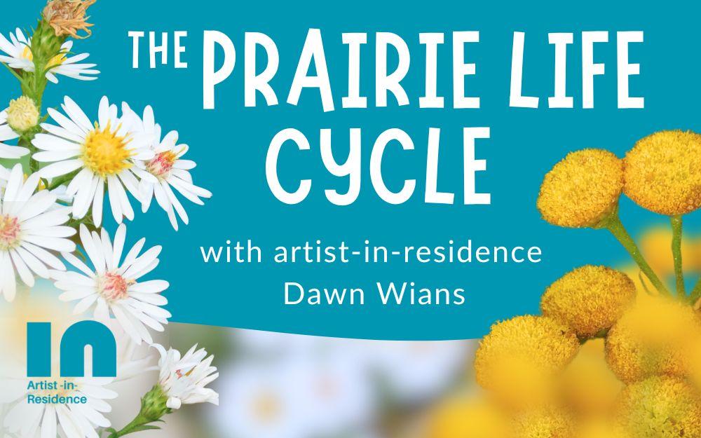 yellow and white prairie flowers