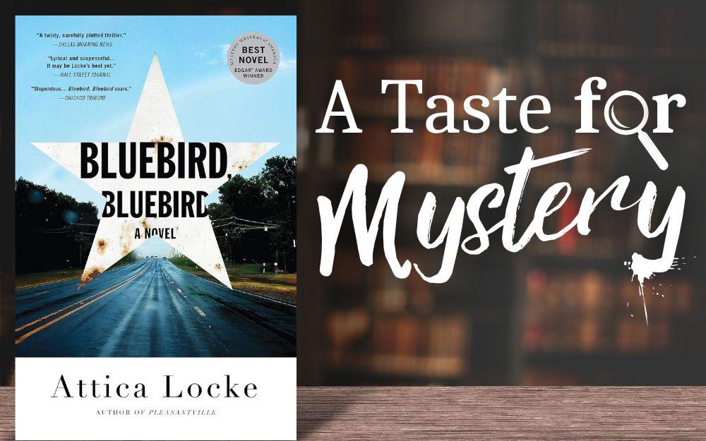 "Bluebird, Bluebird" book cover on a table in a dark moody library