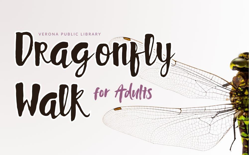 a close-up photo of a green and brown dragonfly